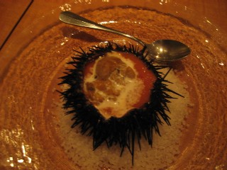 20060829 sea urchin.JPG